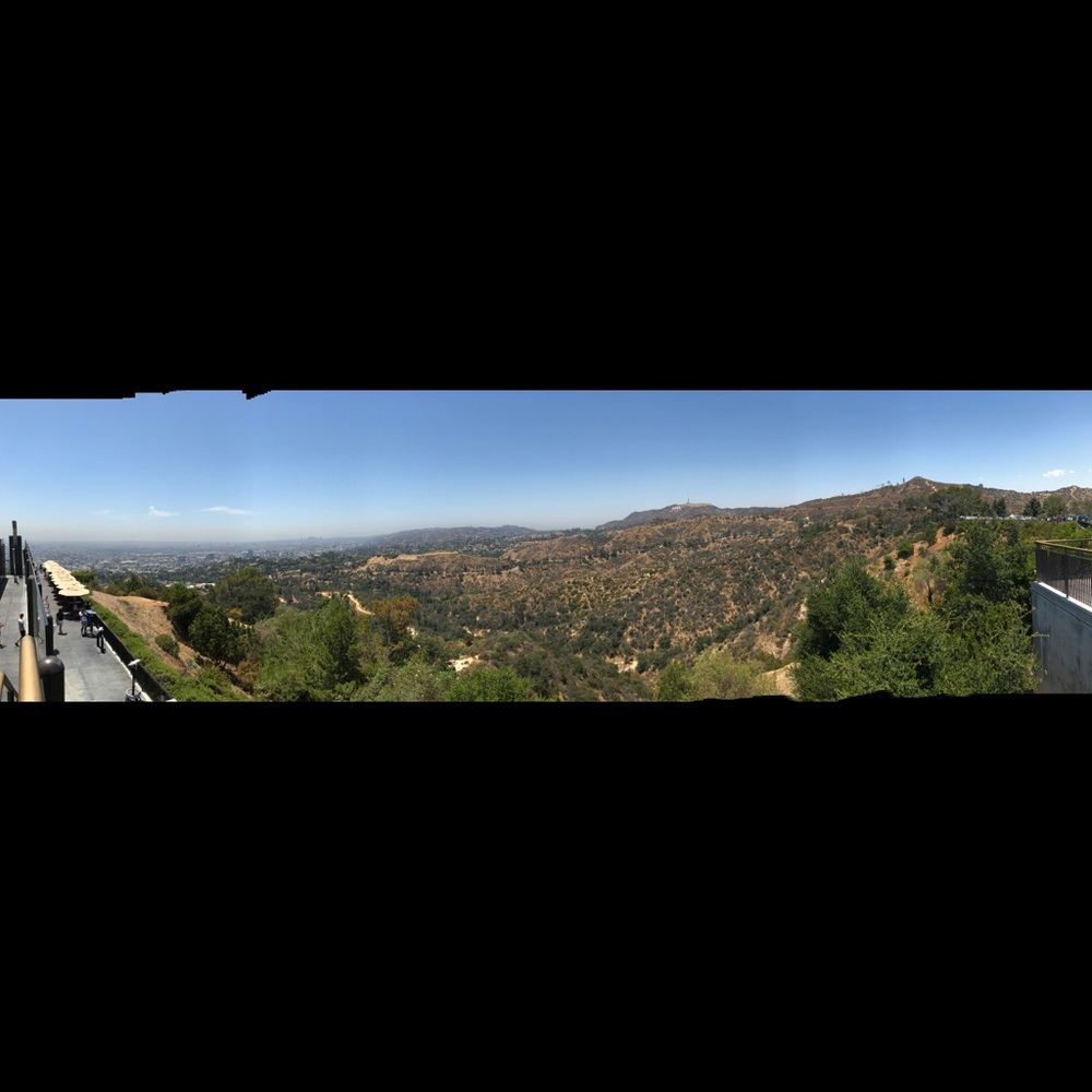 Meet your Posher, Elsy